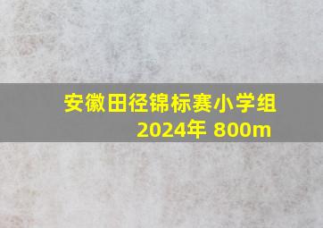 安徽田径锦标赛小学组 2024年 800m